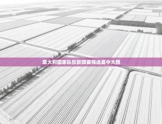 爱游戏娱乐登录-意大利国家队在欧锦赛预选赛中大胜