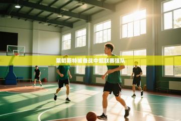 爱游戏体育娱乐罗马赞助商-莱切斯特城备战中超联赛强队