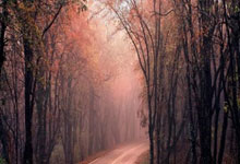 爱游体育直播-圣埃蒂安战平图卢兹，法甲保级形势略显乐观