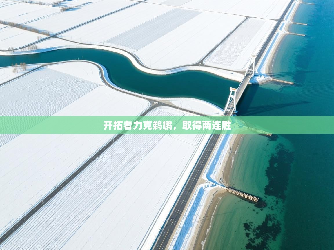 爱游戏娱乐登录-开拓者力克鹈鹕,取得两连胜 第2张