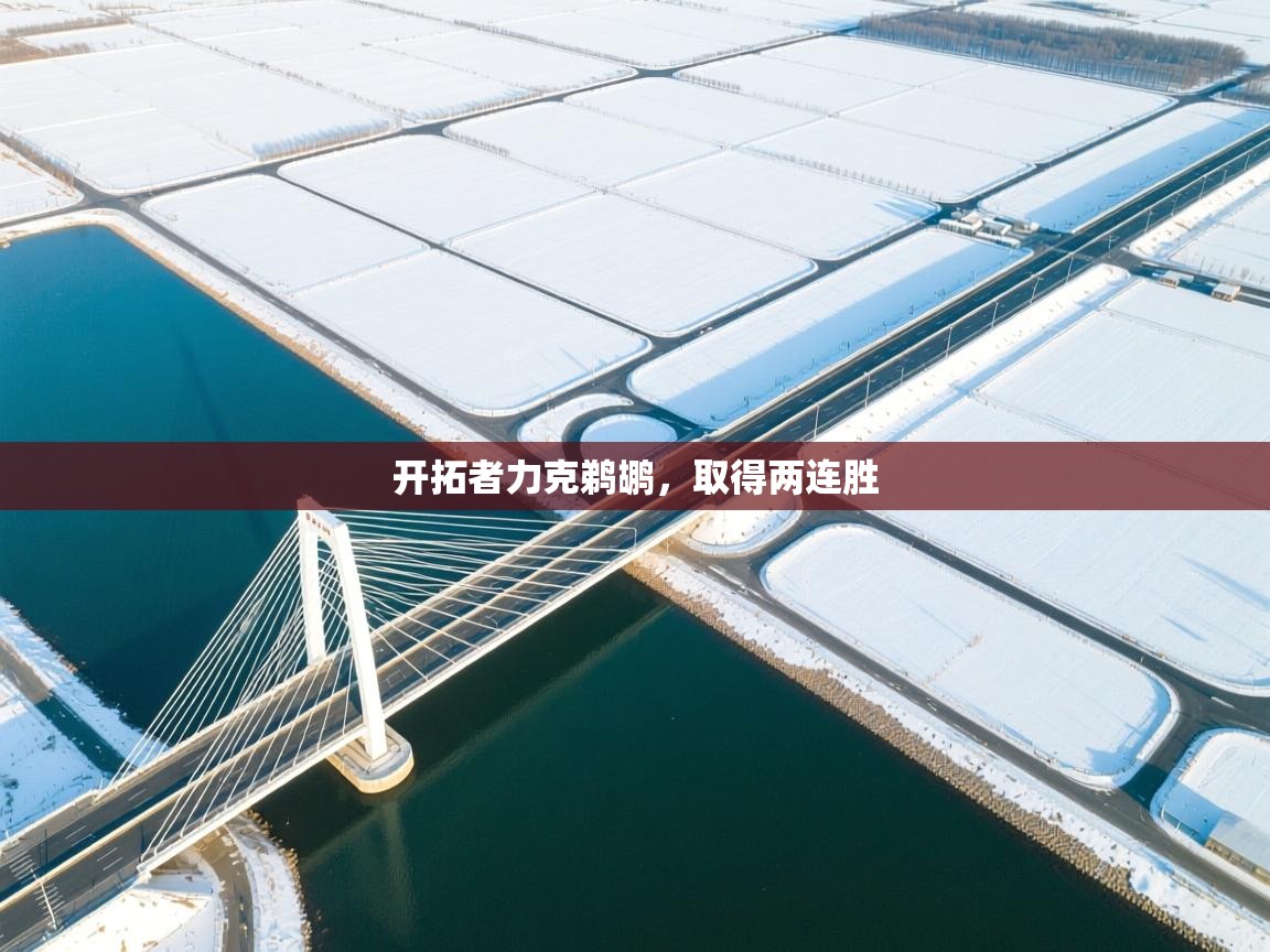 爱游戏娱乐登录-开拓者力克鹈鹕,取得两连胜 第3张