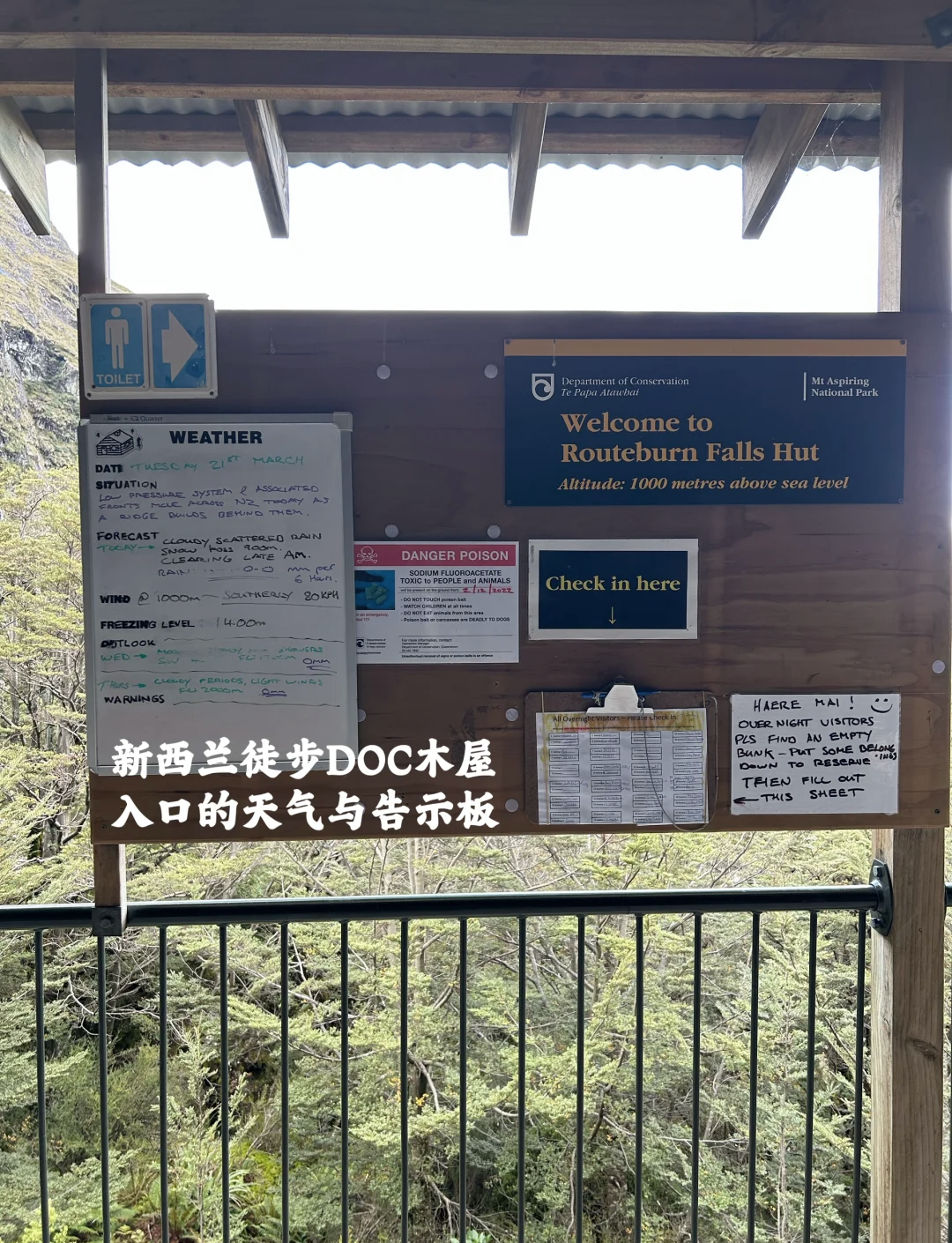 包含新西兰女足-不敌智利提前出局的词条